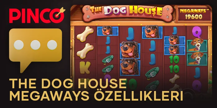 Pinco Casino'daki The Dog House Megaways slotunun özellikleri hakkında