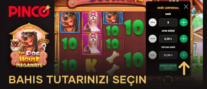 Pinco Türkiye web sitesinde The Dog House Megaways slotunda bahis tutarını belirtin